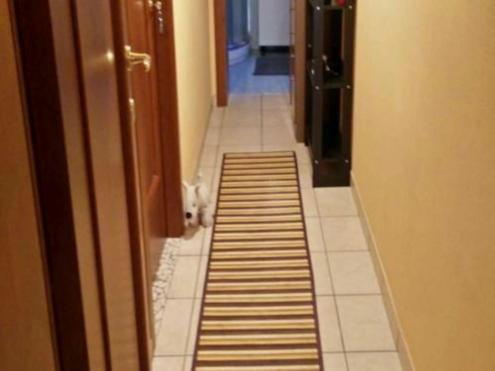 Stazione Centrale Bed & Breakfast Bolonya Dış mekan fotoğraf